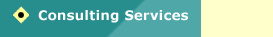 Consulting Services