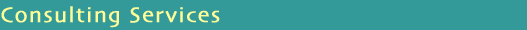Consulting Services