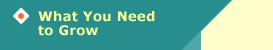 What You Need to Grow